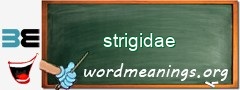 WordMeaning blackboard for strigidae